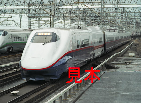 鉄道写真、645ネガデータ、162553690005、E2系（N21編成）＋East-i（E926-13号車）、JR大宮駅、2011.07.18、（4496×3292）_画像1