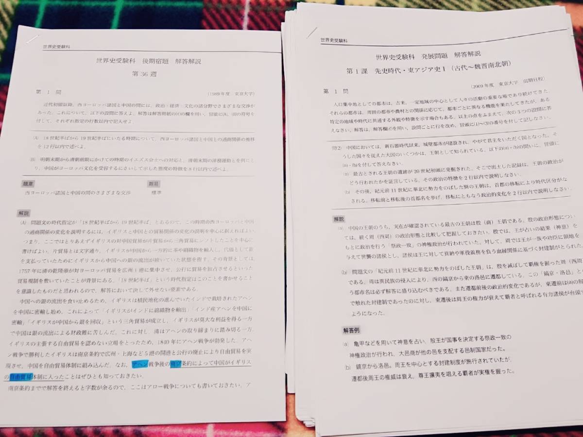 鉄緑会　世界史受験科　発展問題　解説解答 駿台 河合塾 鉄緑会 代ゼミ Z会 ベネッセ SEG 共通テスト