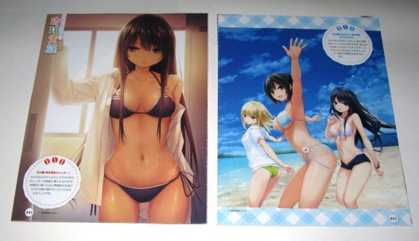  book of paintings in print THE ART OF Coffee Kizoku (bruma... width . swimsuit bikini hot pants )