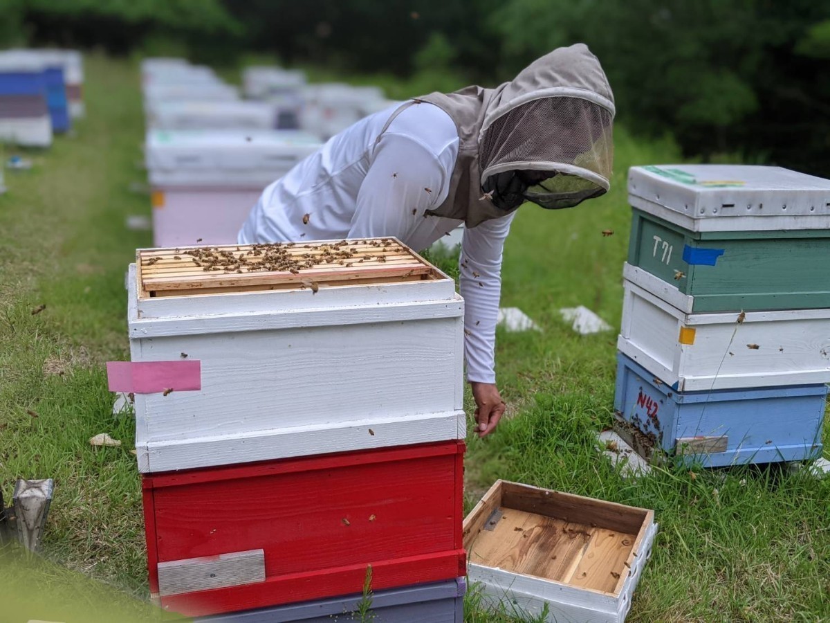 合計900g 新蜜　天然蜂蜜　春の百花蜜　国産蜂蜜　非加熱　生はちみつ 岐阜県産　送料無料　_画像3