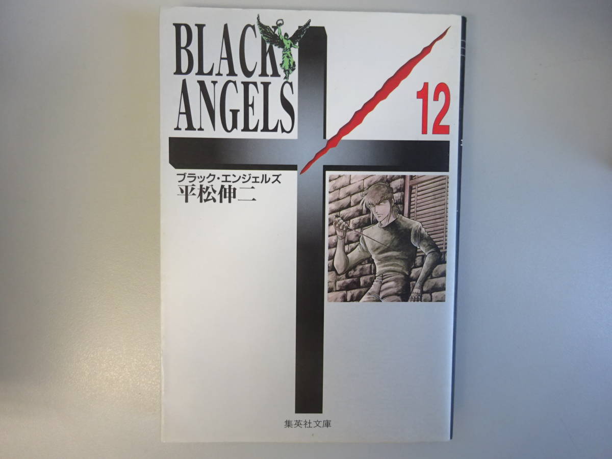 G5Aφ　ブラック・エンジェルズ　1～12巻　全巻セット　平松伸二　集英社文庫_画像4
