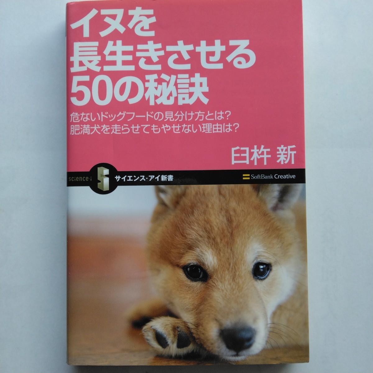 イヌを長生きさせる５０の秘訣 臼杵新 サイエンス・アイ新書 ソフトバンククリエイティブ 9784797349498の画像1