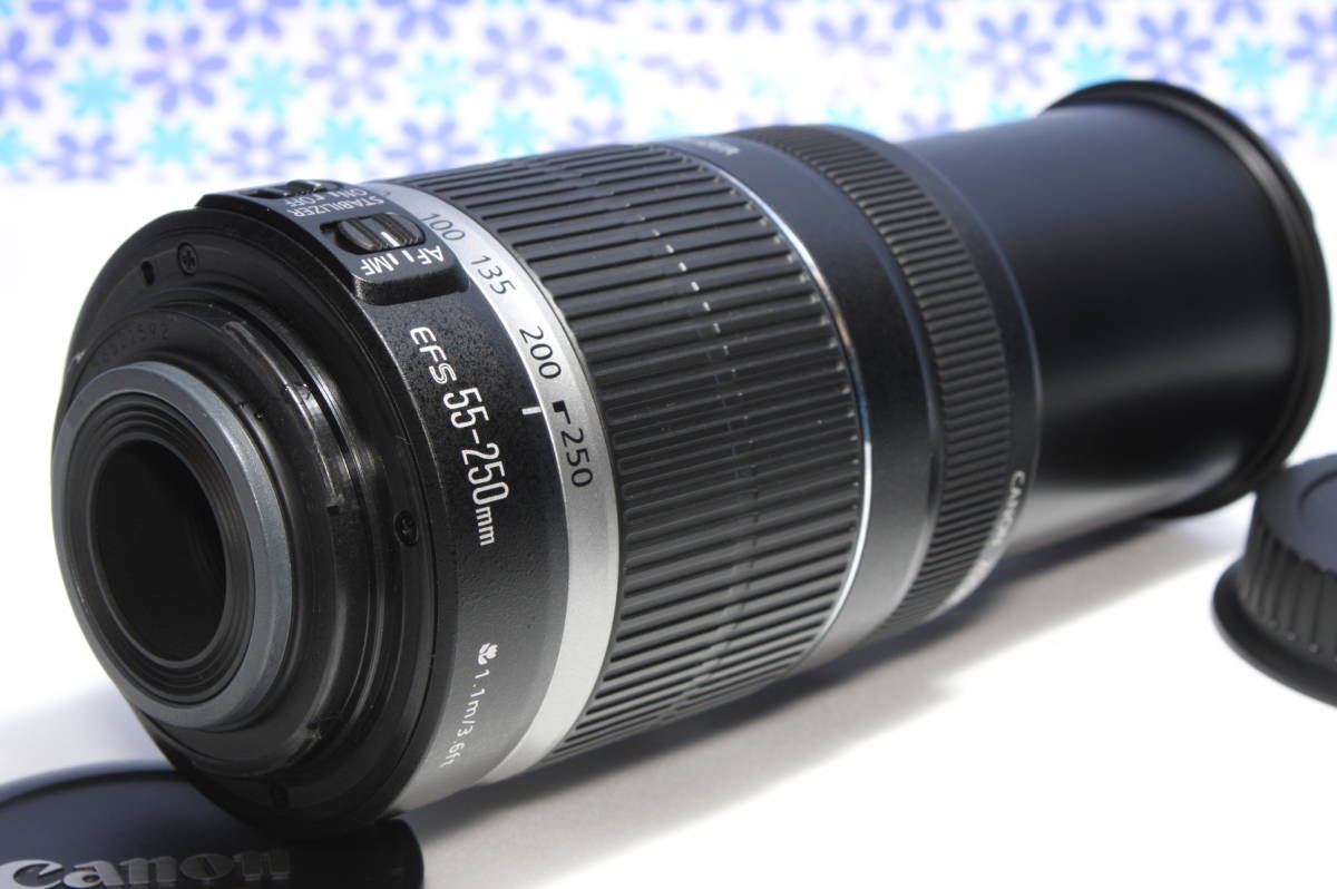 極上美品 Canon キャノン EF-S 55-250mm IS 手振れ補正 超望遠レンズ