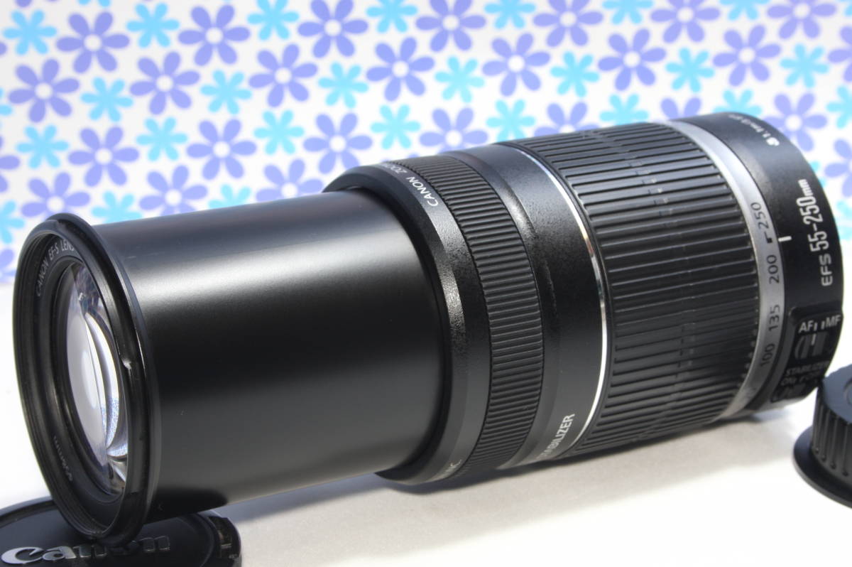 極上美品 Canon キャノン EF-S 55-250mm IS 手振れ補正 超望遠レンズ