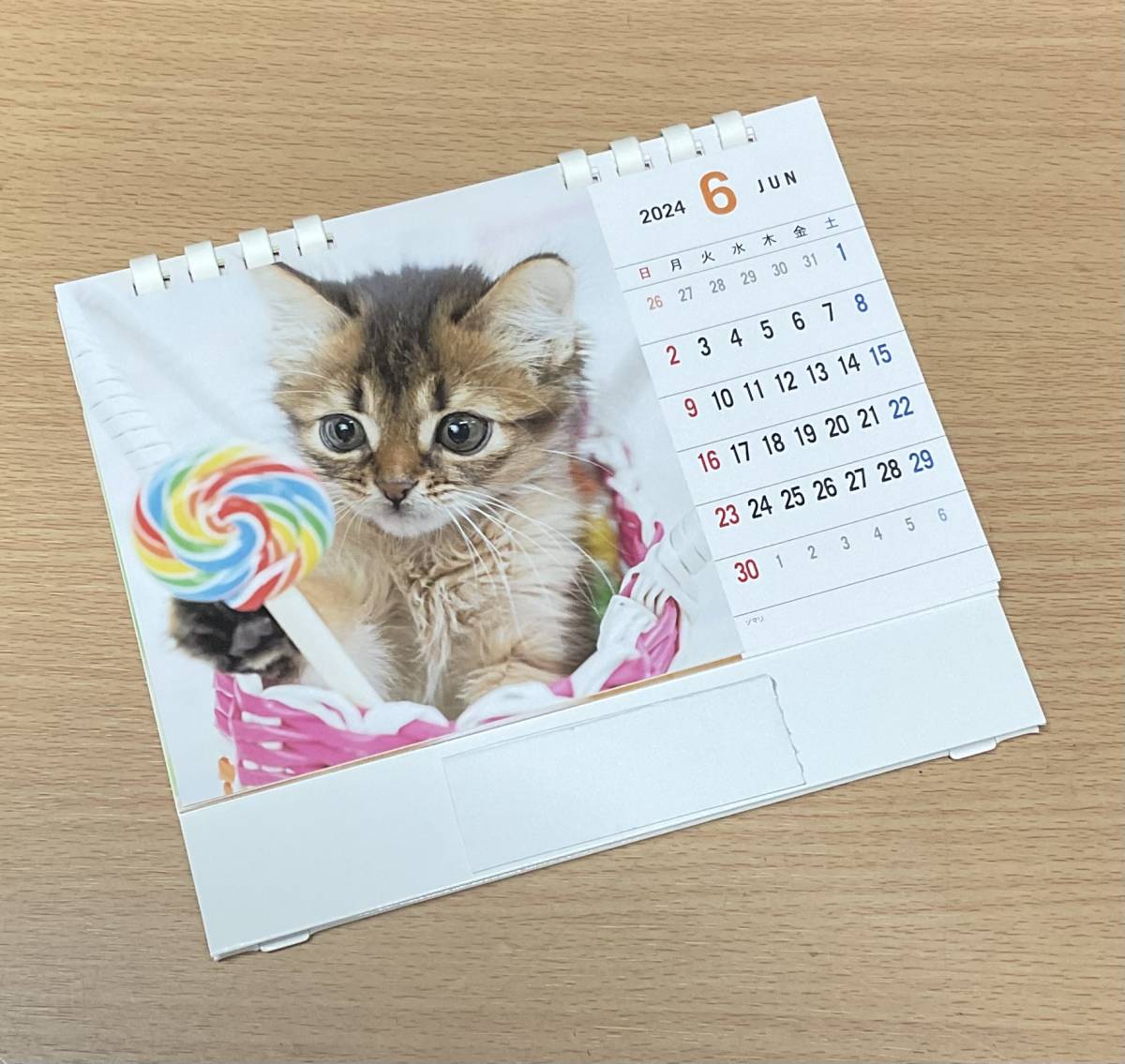 【未使用、非売品】2024年(令和6年) 犬猫　写真　卓上カレンダー②　簡単メモ書きOK_画像3