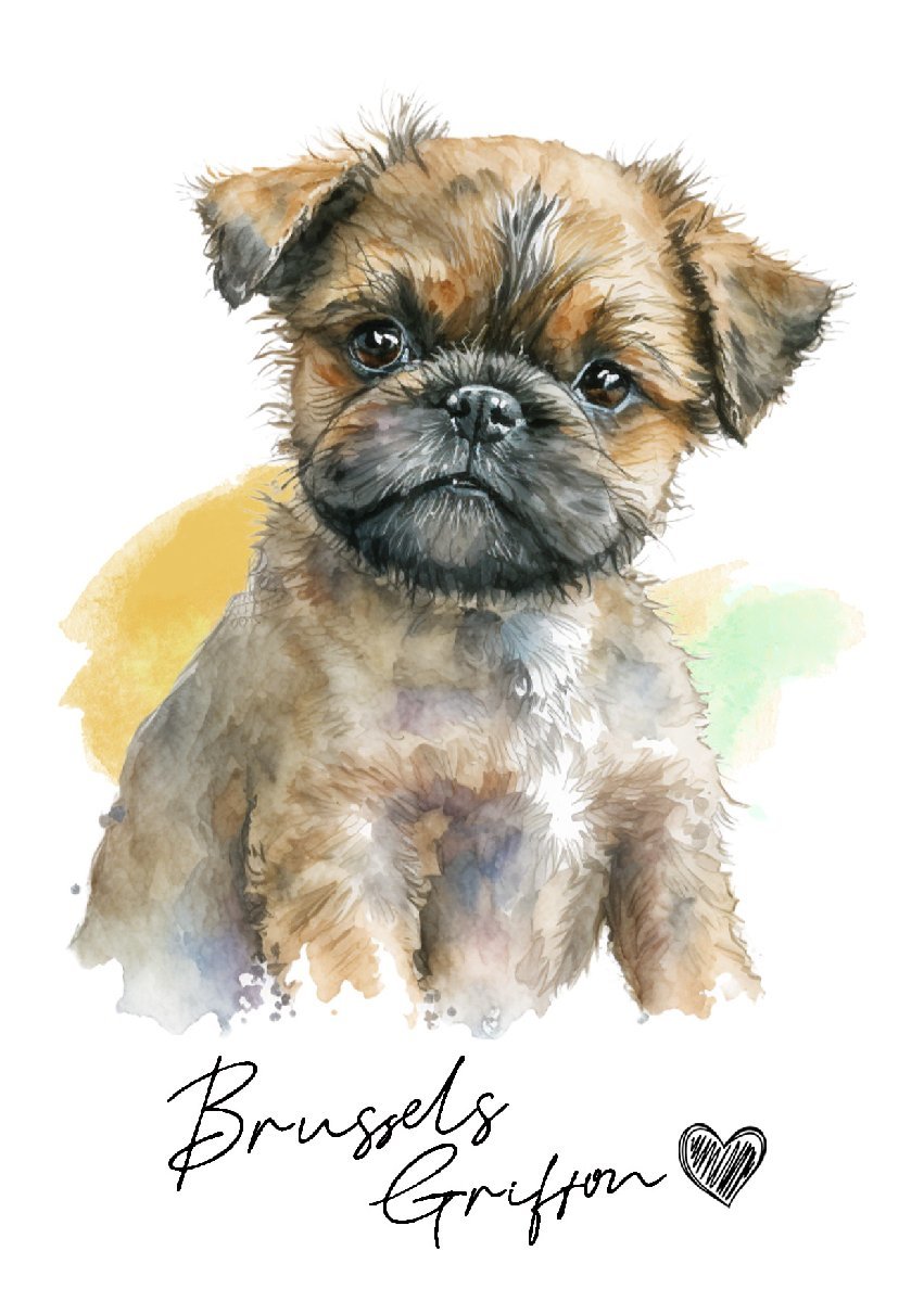 ポストカード【 Brussels Griffon / ブリュッセル・グリフォン 】イラスト アート 水彩画風 パステルカラー はがき -1_画像1