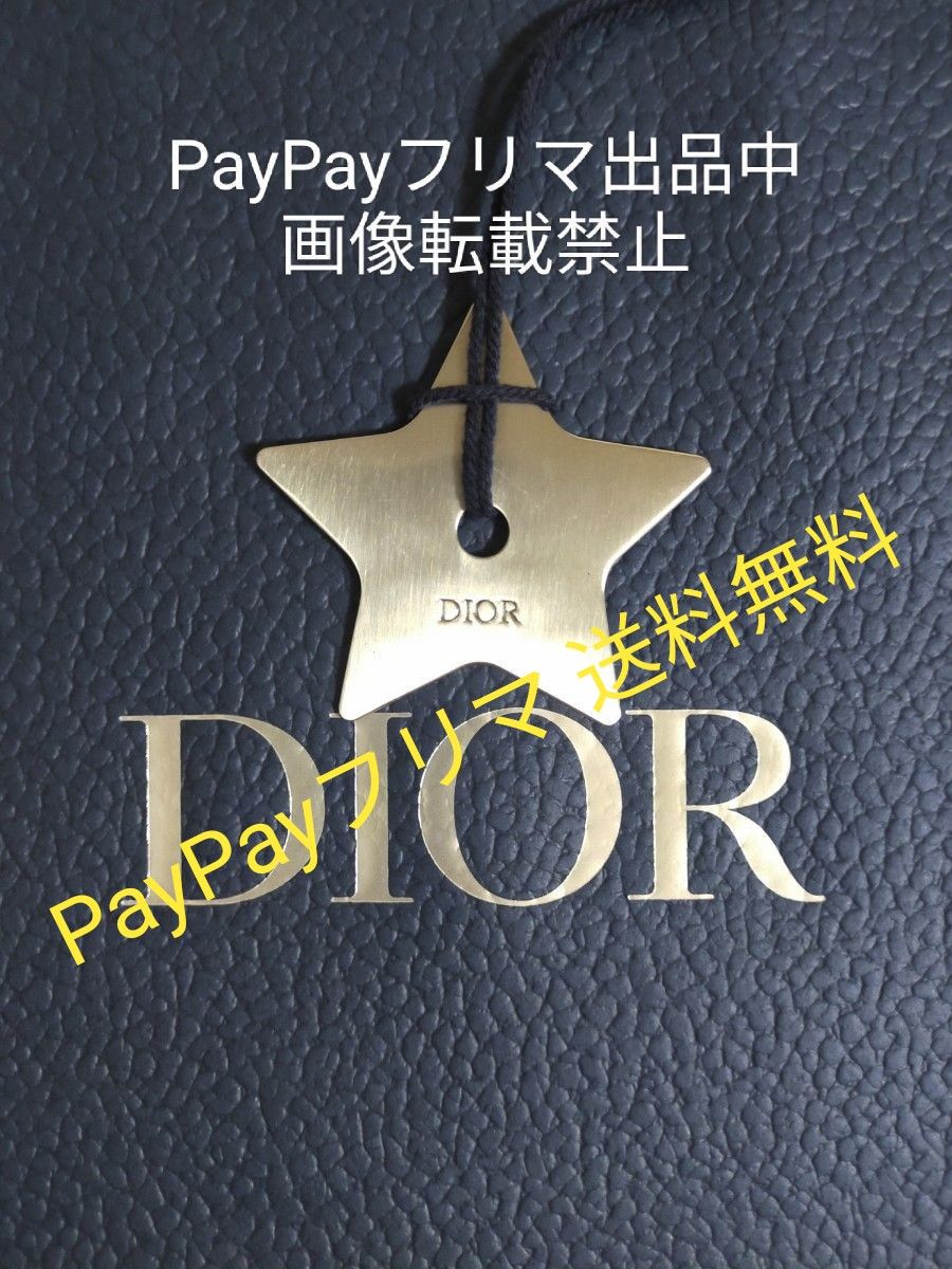 Dior 星 チャーム シルバー - チャーム