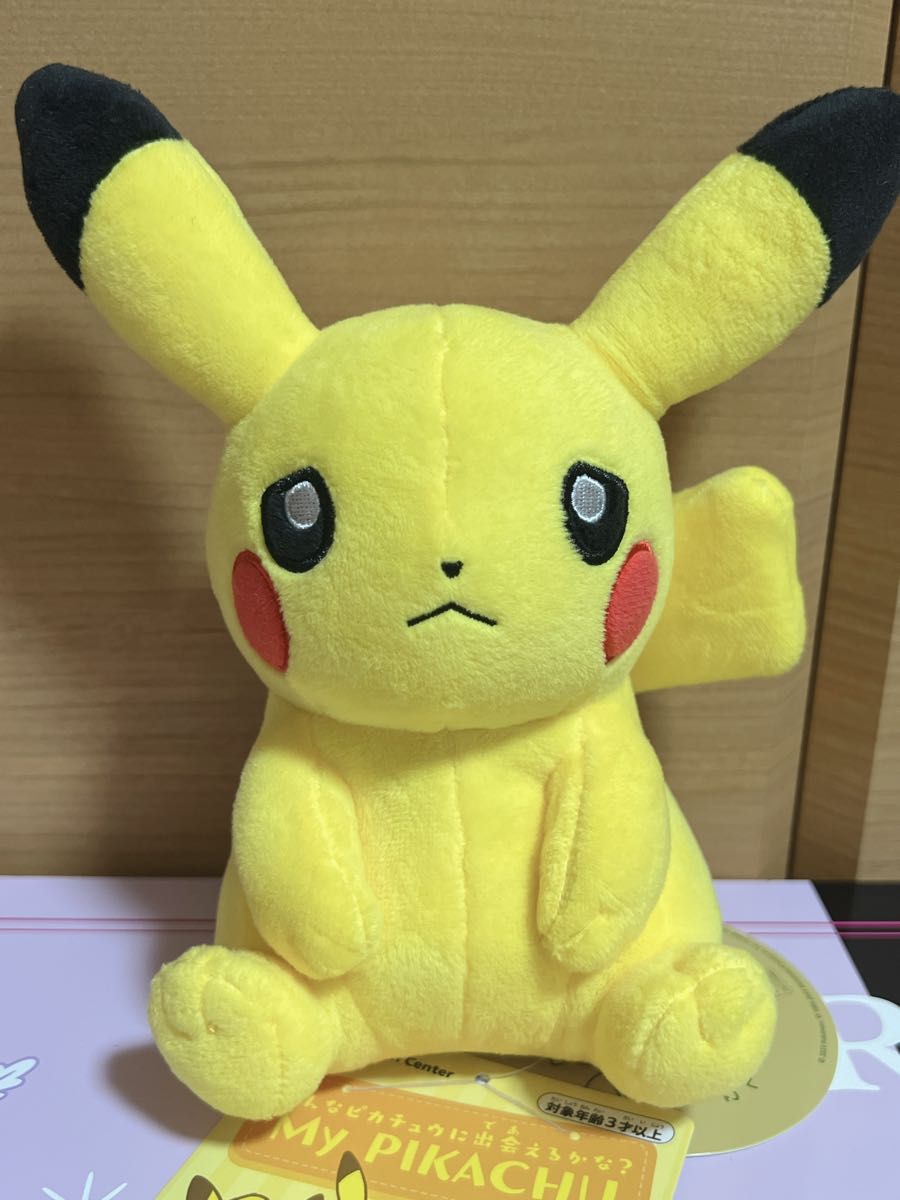 マイピカチュウ My PIKACHU 悲しい顔 困り顔 立ち耳 垂れ耳 ぬいぐるみ 2体セット