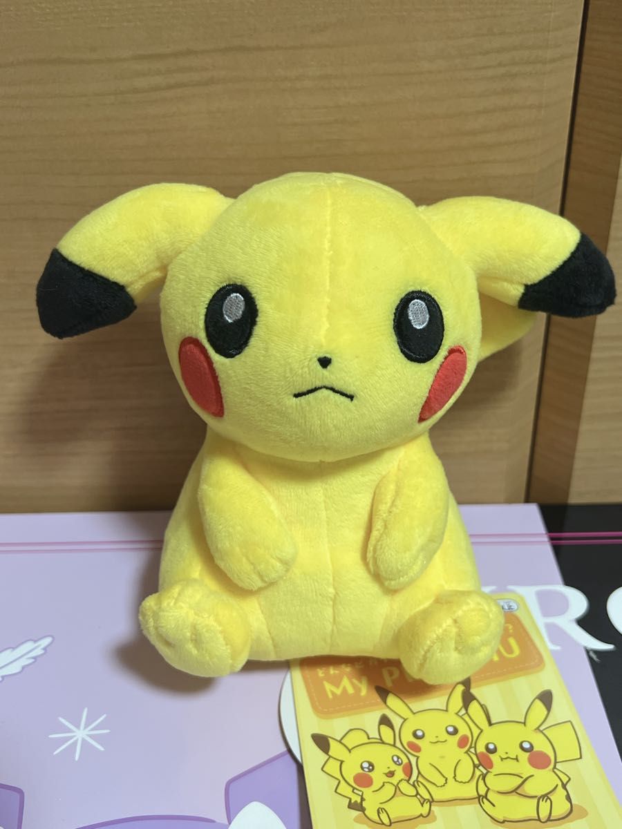 マイピカチュウ My PIKACHU 悲しい顔 困り顔 立ち耳 垂れ耳 ぬいぐるみ 2体セット