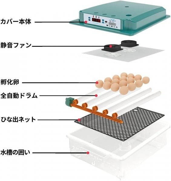 自動孵卵器インキュベーター 恒温器 鳥類専用ふ卵器 孵化器 自動転卵式 アヒル 鶏卵 アヒル うずら 恒温孵化器全自動 6-16個の卵_画像6