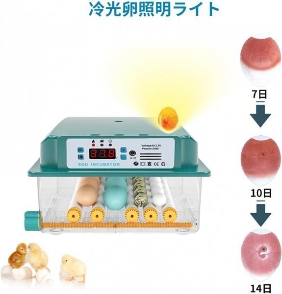 自動孵卵器インキュベーター 恒温器 鳥類専用ふ卵器 孵化器 自動転卵式 アヒル 鶏卵 アヒル うずら 恒温孵化器全自動 6-16個の卵_画像7