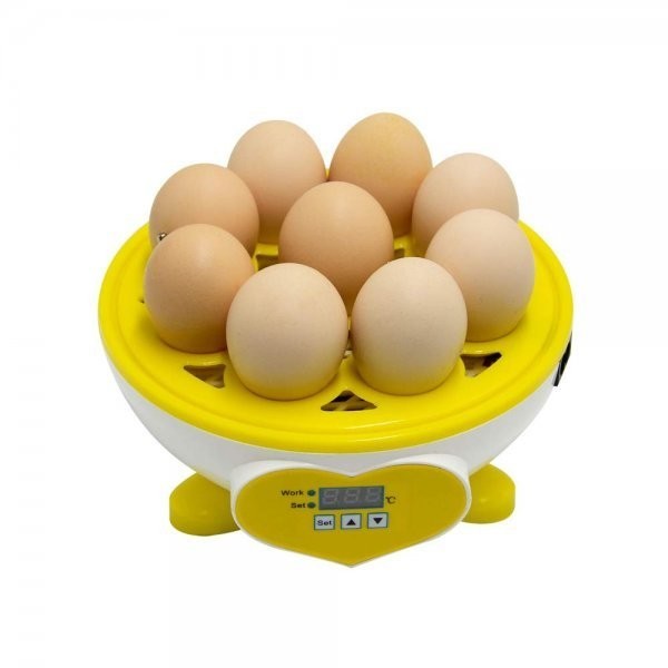  automatic . egg vessel in kyu Beta - home use 9 piece insertion egg high capacity / small size birds exclusive use . egg vessel Mini .. vessel automatic temperature control humidity guarantee . digital display hi width birth 