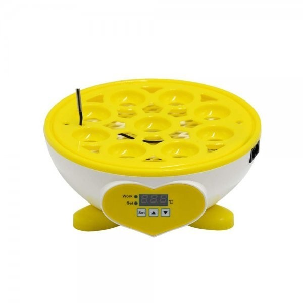  automatic . egg vessel in kyu Beta - home use 9 piece insertion egg high capacity / small size birds exclusive use . egg vessel Mini .. vessel automatic temperature control humidity guarantee . digital display hi width birth 