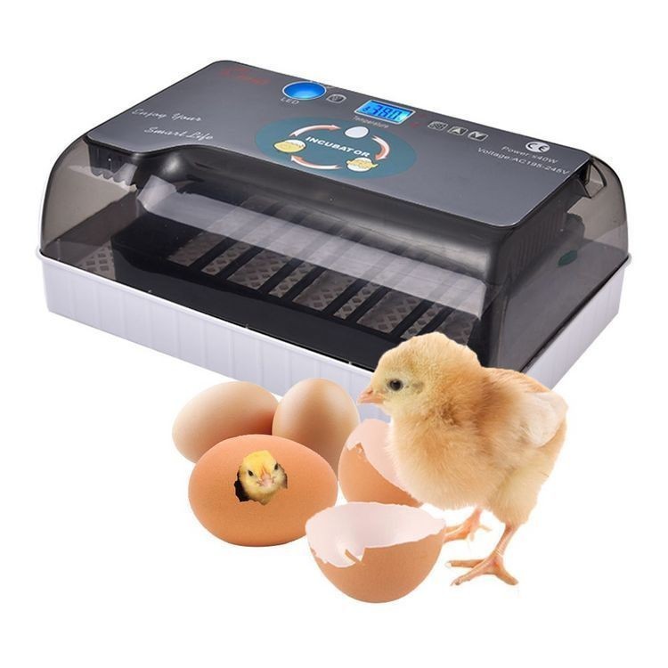 自動孵卵器 インキュベーター 鳥類専用ふ卵器 鶏 ウズラ あひる 鴨 自動転卵 孵化器 24個入卵 ヒヨコ生まれ 大容量 自動温度制御 CFJQ002