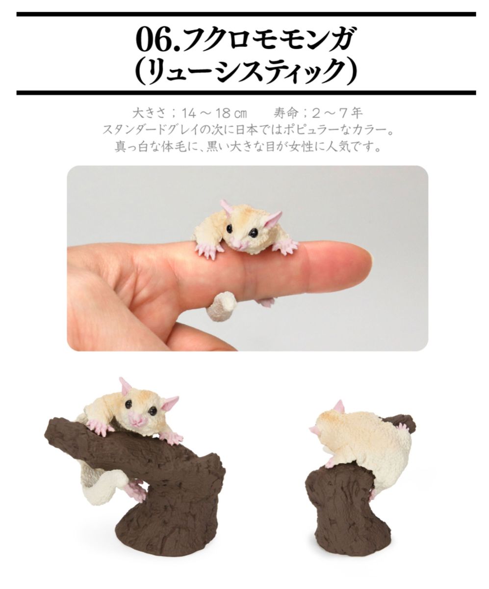 新品　未開封　いきもの大図鑑 指まきコレクション 小動物　5種セットハムスター　ハリネズミ　フクロモモンガ　　 フィギュア ガチャ