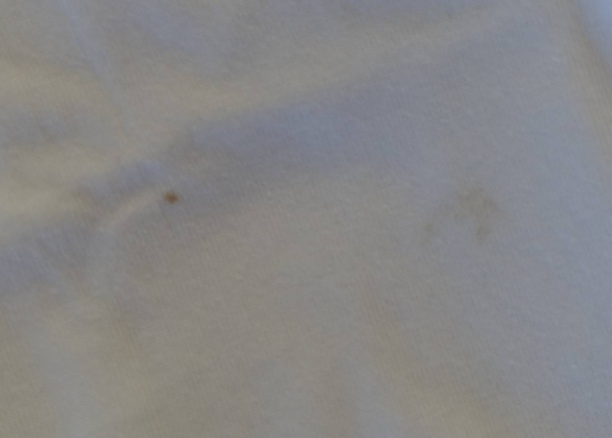 ルフトハンザ　2006年サッカーワールドカップロゴのTシャツ（ドイツのMサイズ未使用品　シミあり）_シミあり