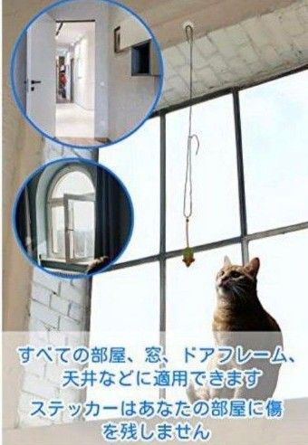 猫 おもちゃ キャットニップ 動きを促進 健康に保つ 猫用おもちゃ マウスネズミ