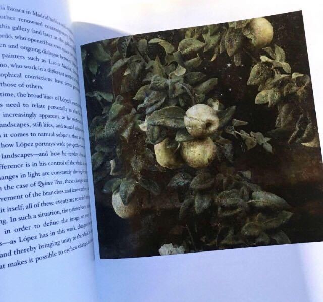 Antonio Lopez Garcia アントニオ ロペス ガルシア 画集|Yahoo Antonio Lopez Garcia アントニオ ロペス ガルシア 画集|Yahoo