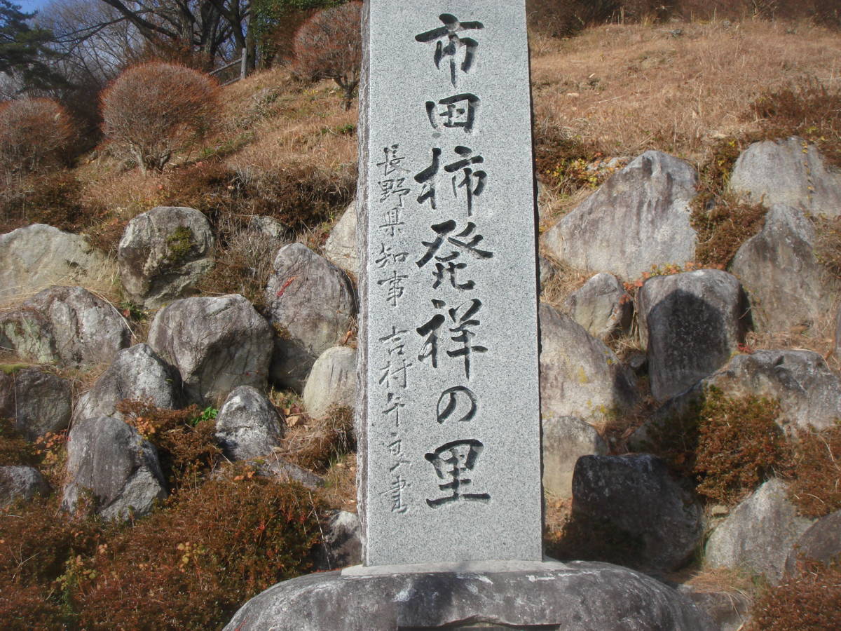 いよいよ最終！★匠の超大玉★ お正月の歯固めに♪ 「最高級市田柿」１キロ ☆家庭用に☆ 即決値下げ♪ 翌日発送！全国送料安！ _画像10