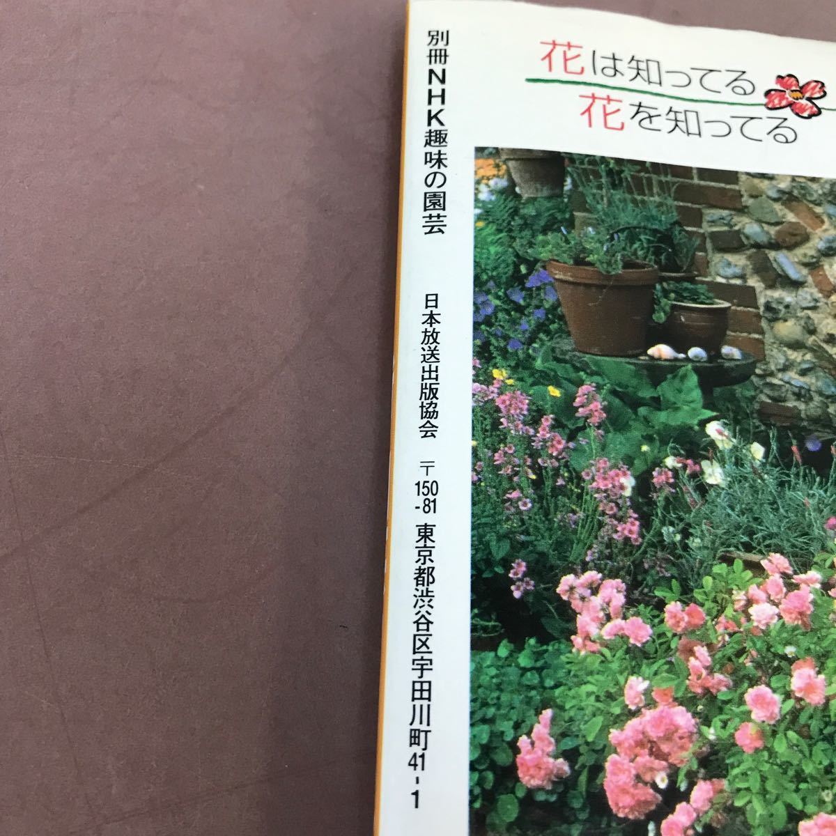 D12-011 отдельный выпуск NHK хобби. садоводство новый * садоводство klinik3 цветочный горшок *. цветок NHK выпускать 