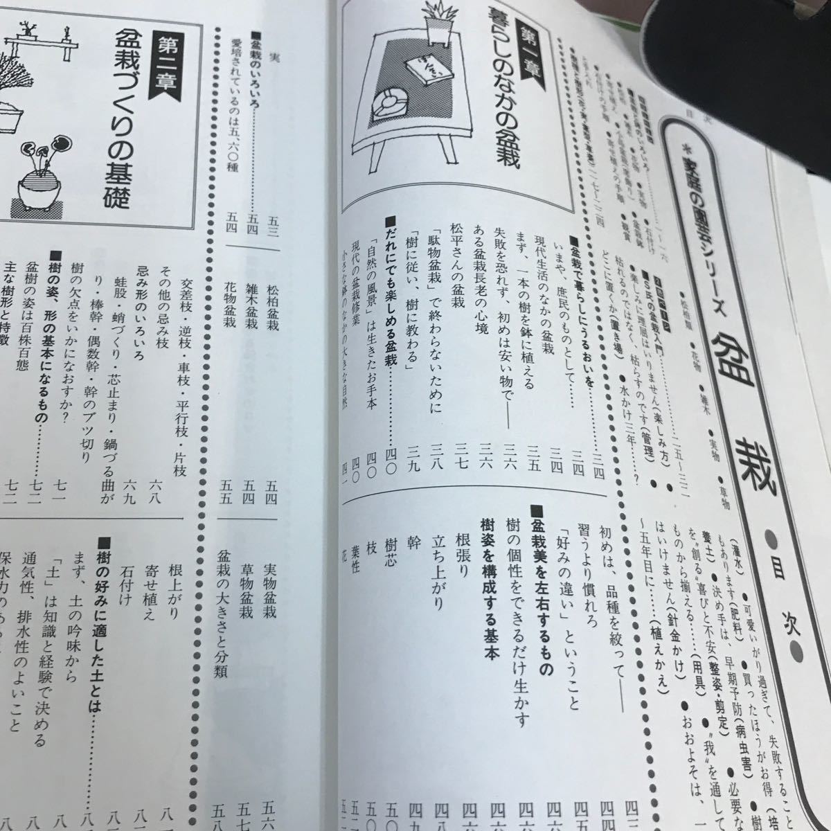 D12-107 盆栽 楽しみ方と相談 江口正直 小学館 記名塗り潰し・書き込み・蔵書印あり_画像3