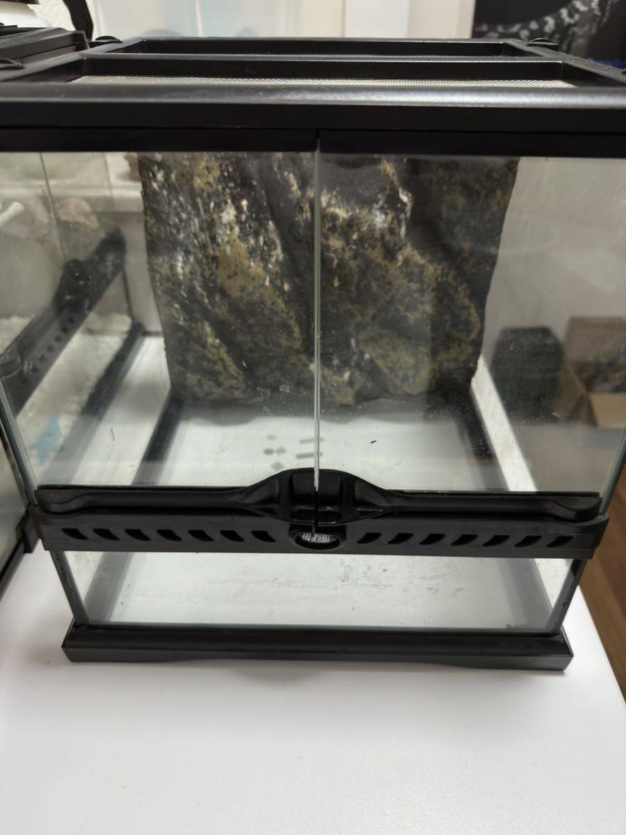 【引き取り限定】ジェックス　グラステラリウム 3030 爬虫類　両生類　ガラス ケージ　_画像1