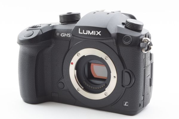 #k2★極上美品★ パナソニック PANASONIC LUMIX RD-SPM049 ボディ（DC-GH5）_画像1