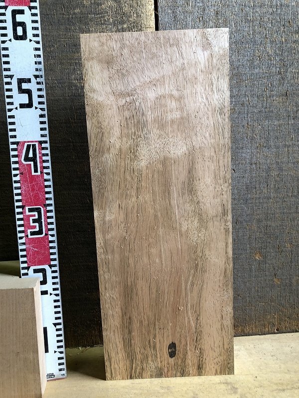 【EF91C】ニューギニアウォルナット 548×215×55㎜ 極上杢 一枚板 材料 天然木 無垢材 乾燥材 銘木 材木 木工《銘木登屋》_画像8