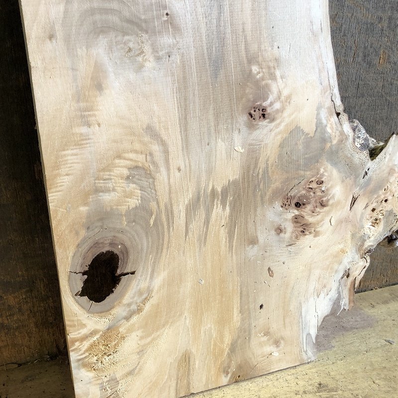 【EK60S】ポプラ 800×～365×33㎜ 一枚板 材料 天然木 無垢材 木材 希少材 乾燥材 銘木 木工 DIY《銘木登屋》_画像9