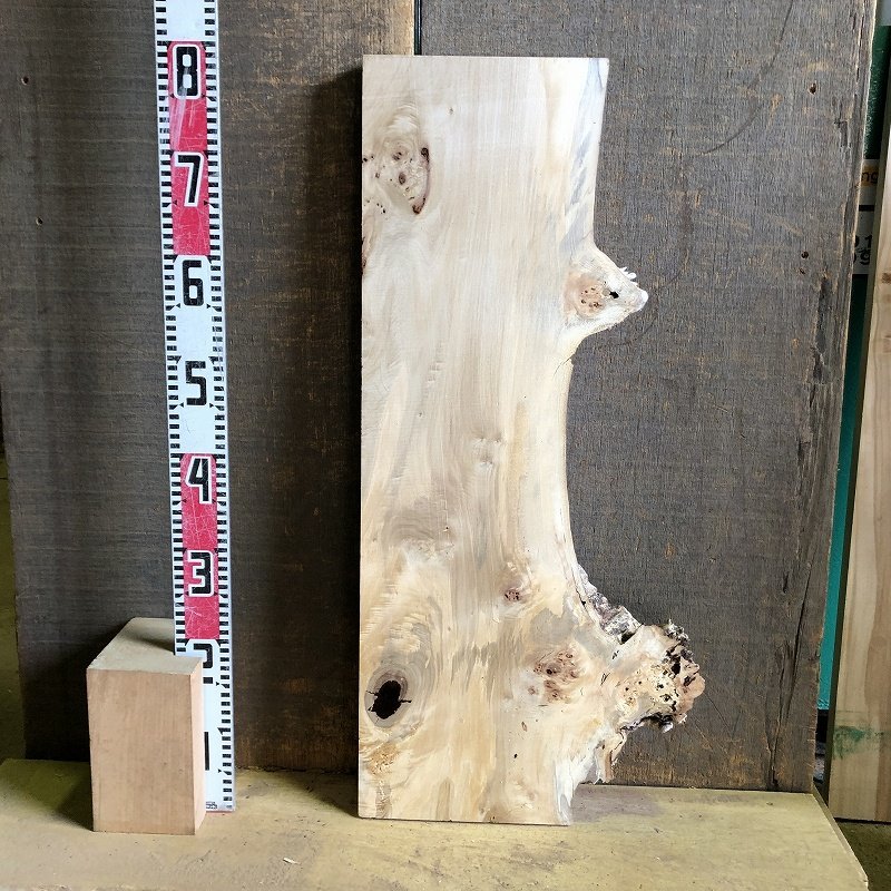 【EK60S】ポプラ 800×～365×33㎜ 一枚板 材料 天然木 無垢材 木材 希少材 乾燥材 銘木 木工 DIY《銘木登屋》_画像8