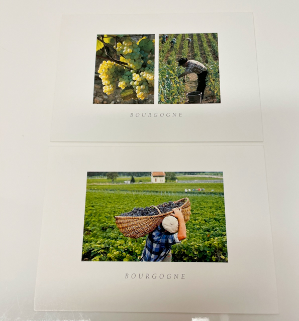 フランス ブルゴーニュ ヴィンヤード ブドウ畑 ワイン 収穫 剪定 白ワイン 赤ワイン ポストカード 絵葉書 ５枚 セット アンティークの画像3