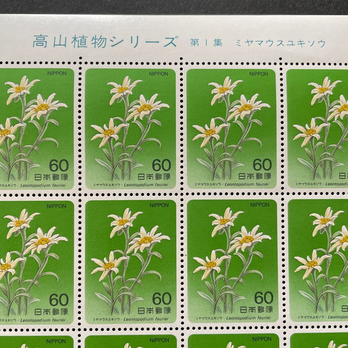 記念切手高山植物シリーズ 第1集 ミヤマウスユキソウ 1984年の画像1