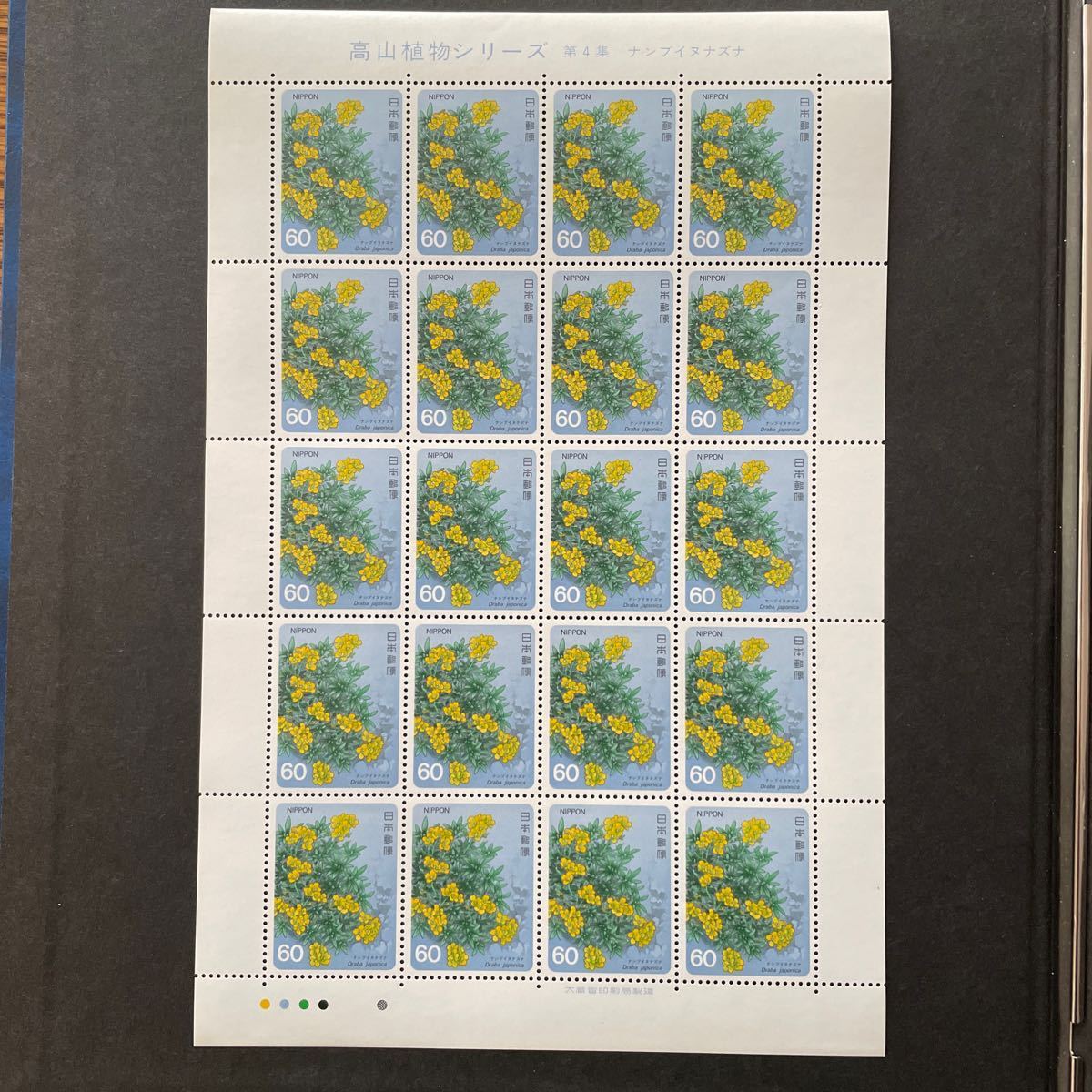 記念切手 高山植物シリーズ第4集 ナンブイヌナズナ 1985年 60円20枚の画像4