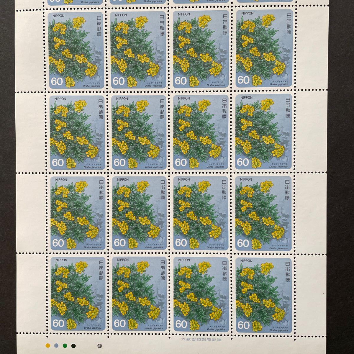 記念切手 高山植物シリーズ第4集 ナンブイヌナズナ 1985年 60円20枚の画像3