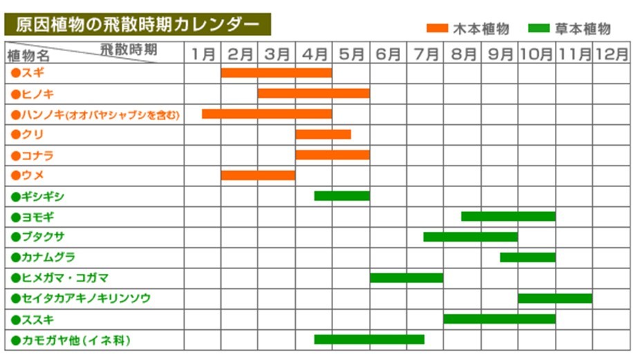 花粉症にこれ1本！　花粉・アレルギー・抗ウイルス・抗菌・消臭 に【特許取得成分配合】何にでも使える『花粉やっつけ隊』送料無料_画像2