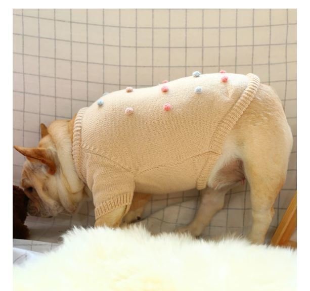 LYW970★PETCIRCLE犬服秋と冬のフレンチブルドッグコーギー二脚カジュアル快適なセーター_画像6