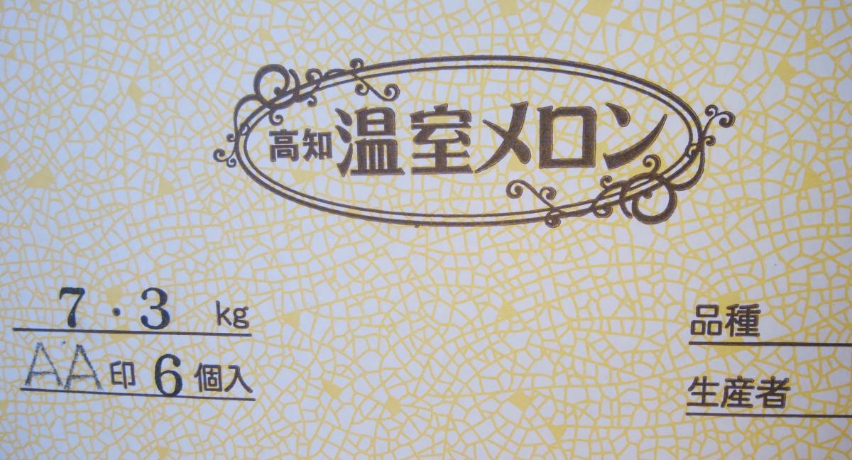 1円～【高知県産】 温室メロン　AA6玉 　約7.3kg_画像3
