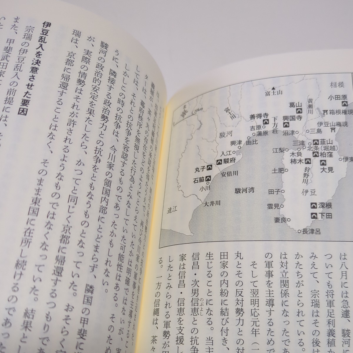 下剋上 （講談社現代新書　２６２４） 黒田基樹 中古 歴史 日本史 戦国時代 大名 01001F083_画像6