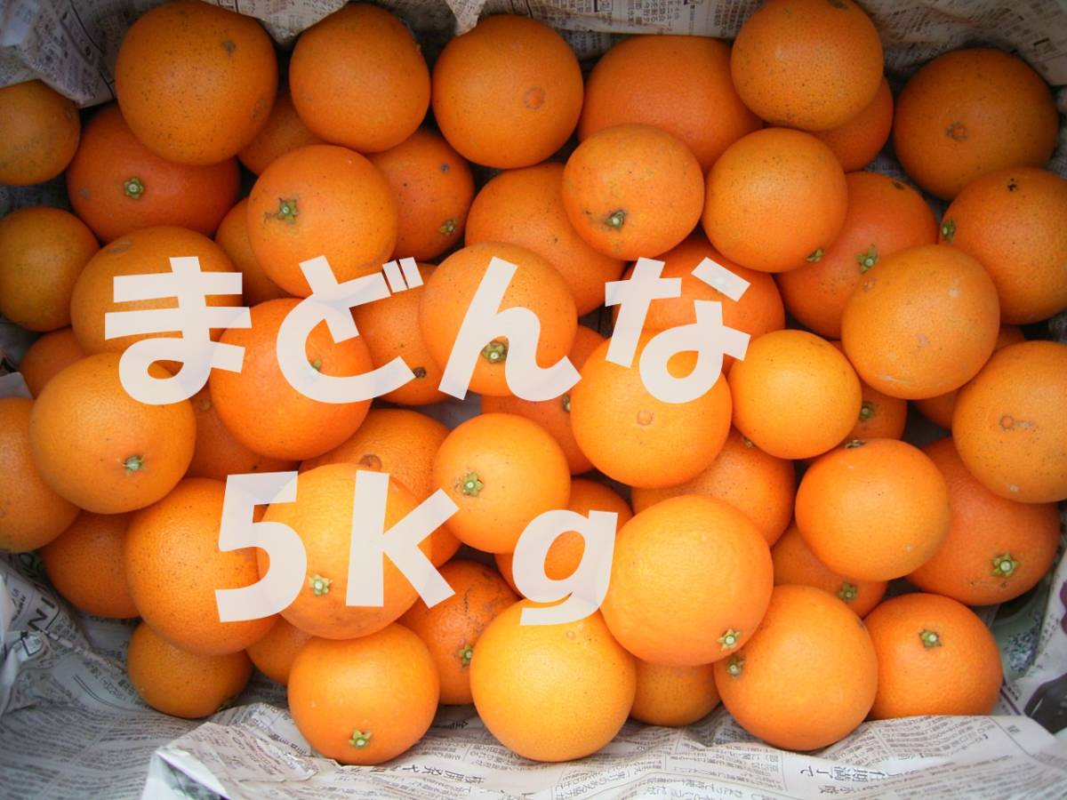 貴美ちゃんちの・まどんな（５Ａ３）・家庭用・5kg_画像1