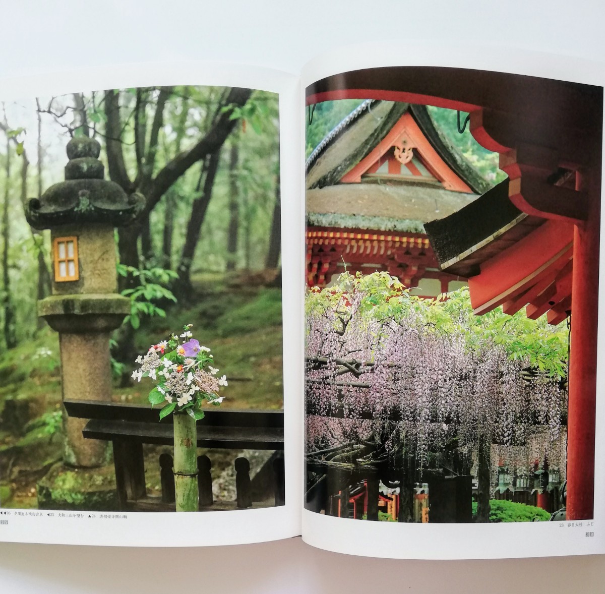 入江泰吉写真全集 全8巻(入江泰吉) / 古本、中古本、古書籍の 入江泰吉写真全集 全8巻(入江泰吉) / 古本、中古本、古書籍の