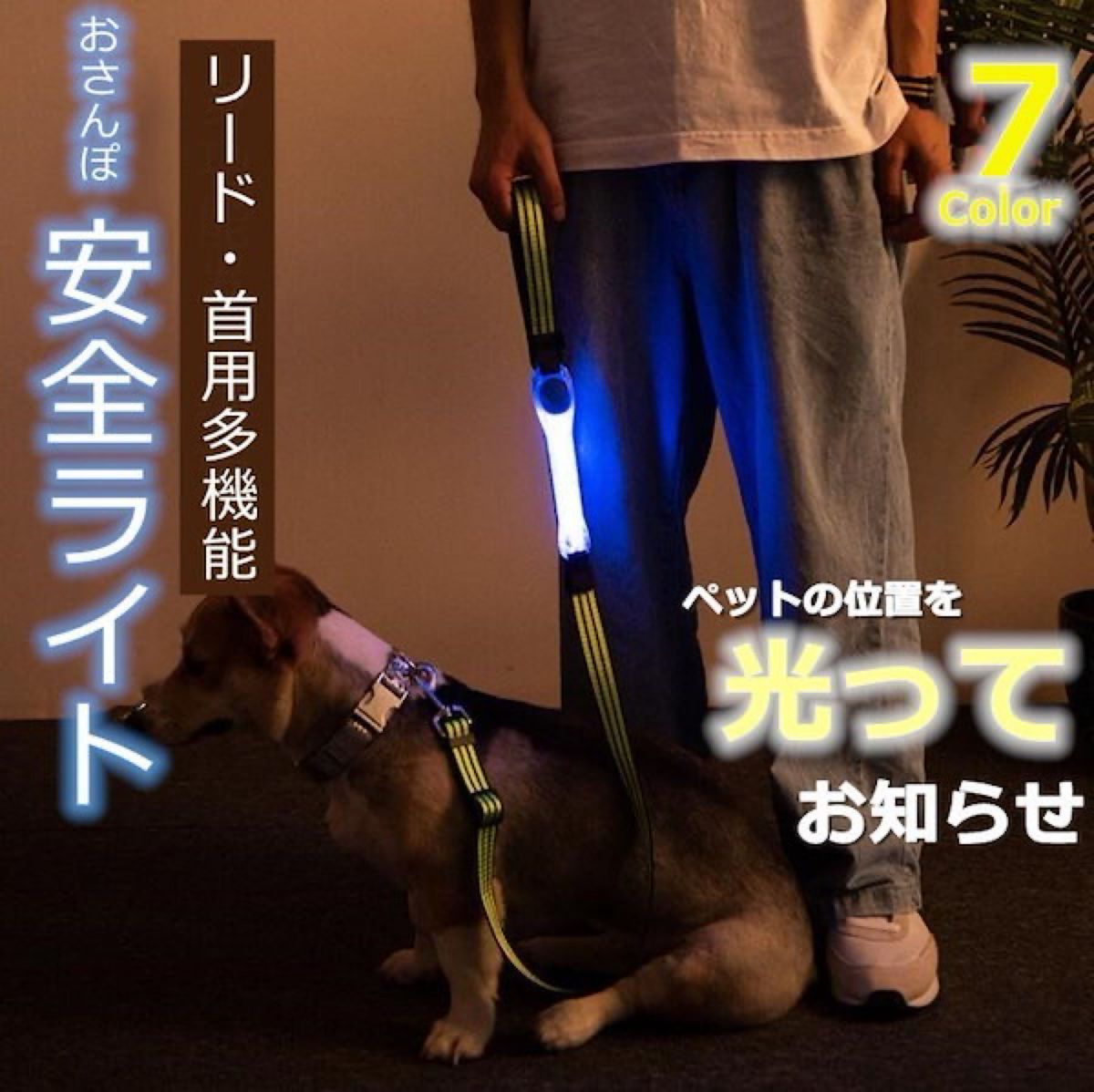 おさんぽライト 安全 犬用 ライト 7色 犬 猫 散歩 光る 首輪 リードに貼り付け LED お散歩 ライト 【即日発送】