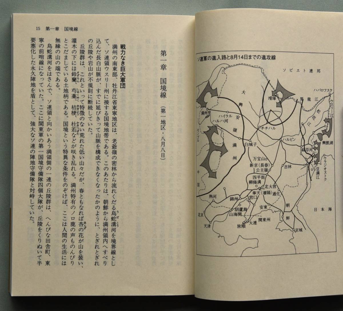 最後の関東軍（光人社ＮＦ文庫　著者：佐藤和正） 新装解説版_画像4