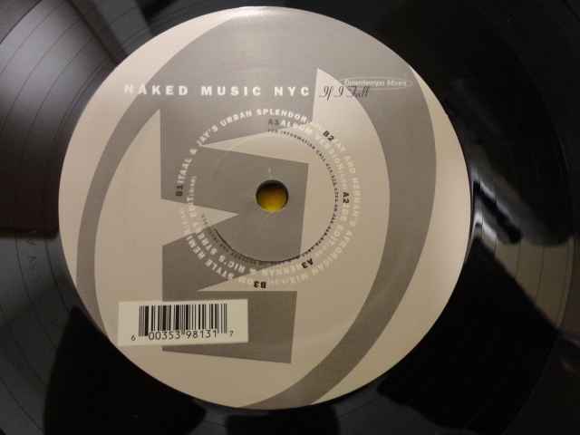 Naked Music NYC - If I Fall シュリンク付 オリジナル原盤 おしゃれグルーヴィ・ダウンテンポ HOUSE 12 視聴_画像3