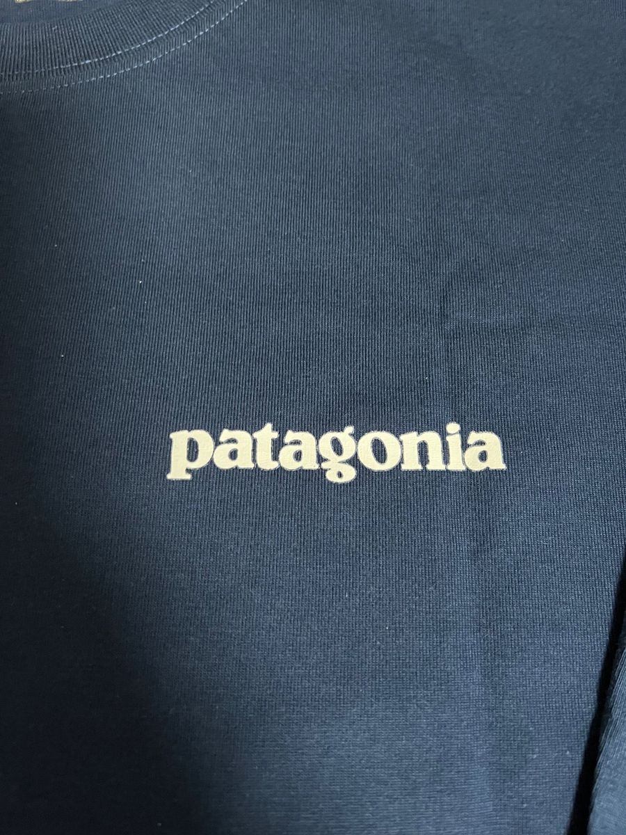 ブルーL  パタゴニア patagonia 長袖Tシャツ ロングTシャツ ロンT