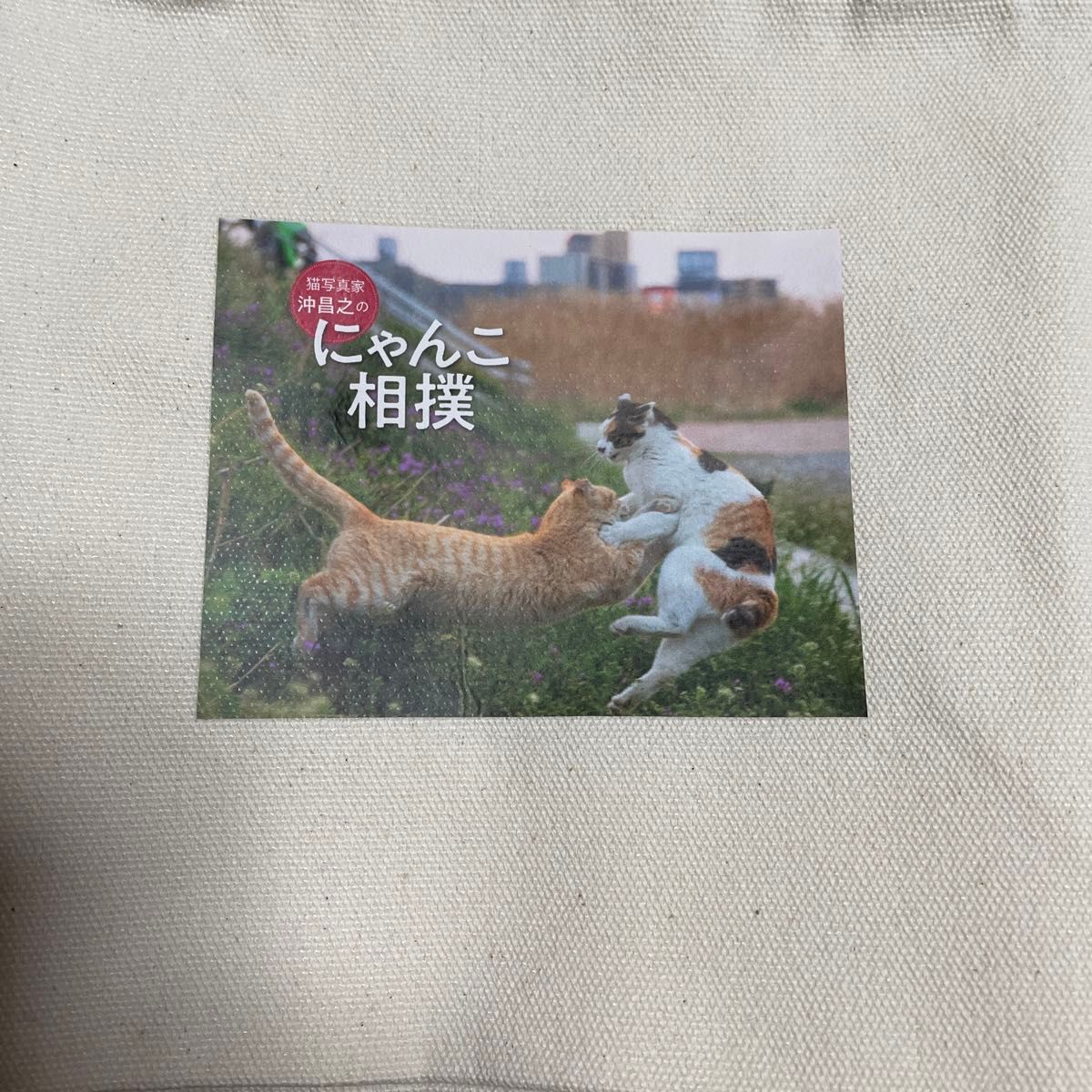 猫写真家　沖昌之さん　にゃんこ相撲　トートバッグ　未使用