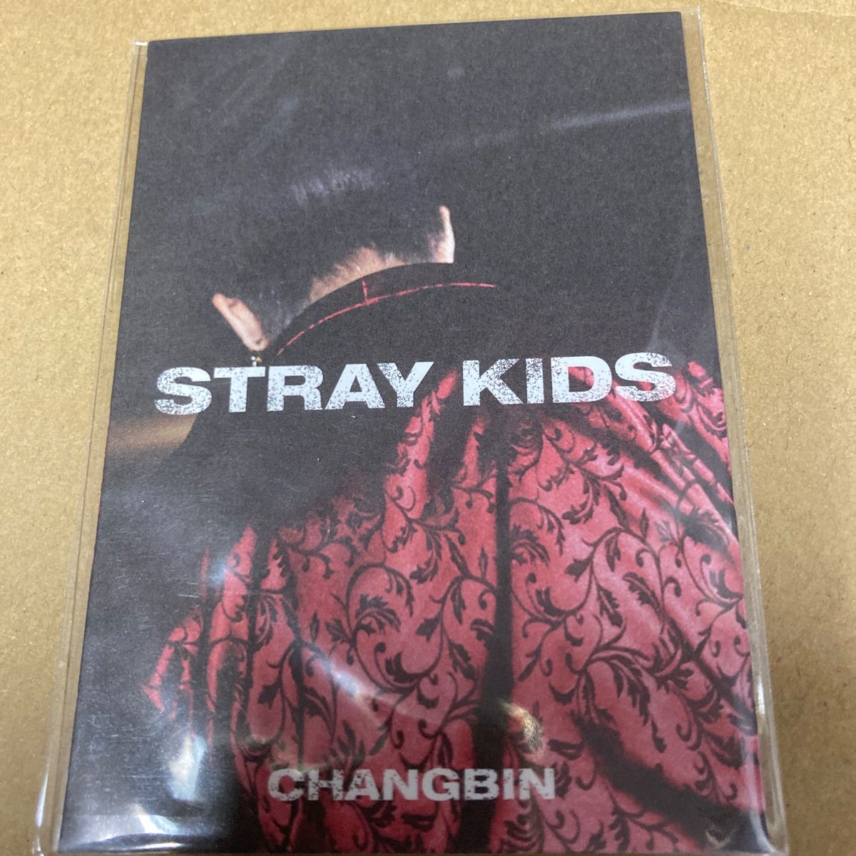 Stray Kids 特典単体 CHANGBIN 新品未開封 m