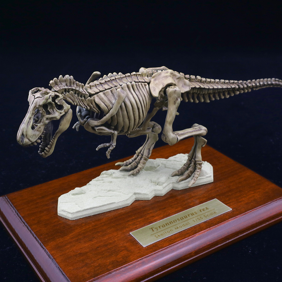 【全塗装完成品】ティラノサウルス 全身骨格プラモデル （雑誌小学8年生付録）_画像2