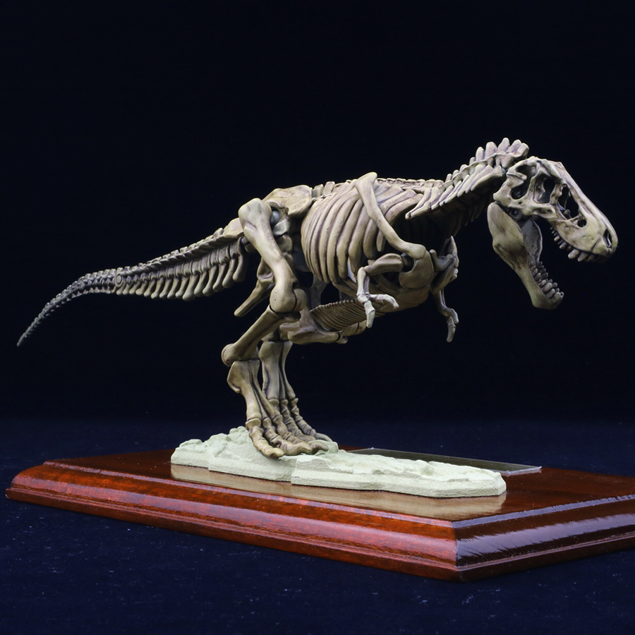 【全塗装完成品】ティラノサウルス 全身骨格プラモデル （雑誌小学8年生付録）_画像4