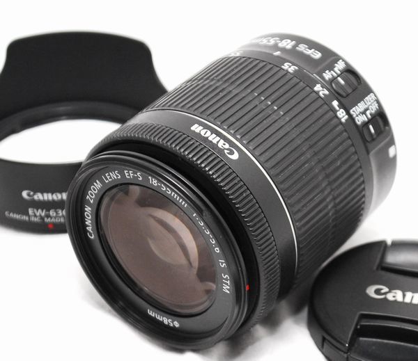 【良品・豪華セット】Canon キヤノン EOS 7D Mark II EF-S 18-55mm IS STM_画像9