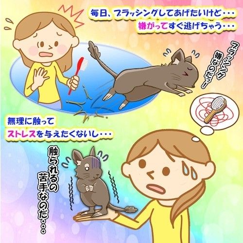 【Sサイズ】ホワイト　デグー　砂浴び容器　飛び散り防止　ブラッシング効果